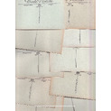 .    "   , 1919 "