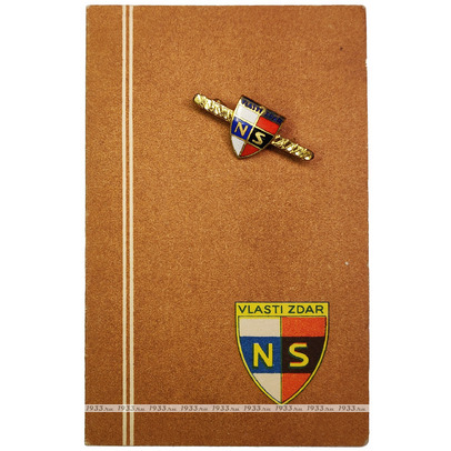 ������ ����. ����������� ������� � �������. �������� ���� � �������� ����� ��������-����������������� �����