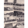 .    "   , 1919 "